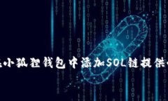   小狐狸钱包添加SOL链的详细操作指南  /  小狐狸